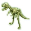 4M Tyrannosaura Rex DNA kit (08181)