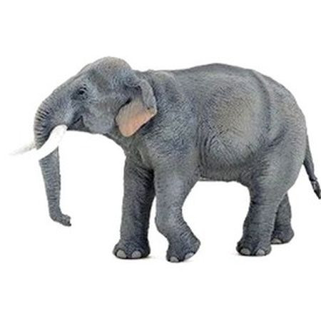Papo indického slona figúrka (17657)