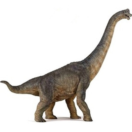 Papo brachiosaura dinosaurus figúrka (24441)