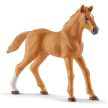 Schleich Horse Club Hannah víta kone so psom Ruby (42458)
