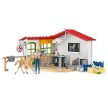 Schleich Veterinárna ordinácia s domácimi zvieratami (42502)