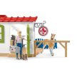 Schleich Veterinárna ordinácia s domácimi zvieratami (42502)