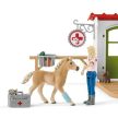 Schleich Veterinárna ordinácia s domácimi zvieratami (42502)