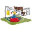 Schleich Umývací kút pre dobytok (42529)