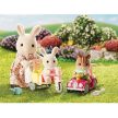 Sylvanian Families súprava detských kočíkov (5040)