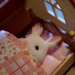 Sylvanian Families Červené zastřešený začátečník domeček sada - KP HRAČKA
