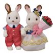 Sylvanian Families Zajačikový pár (5362)